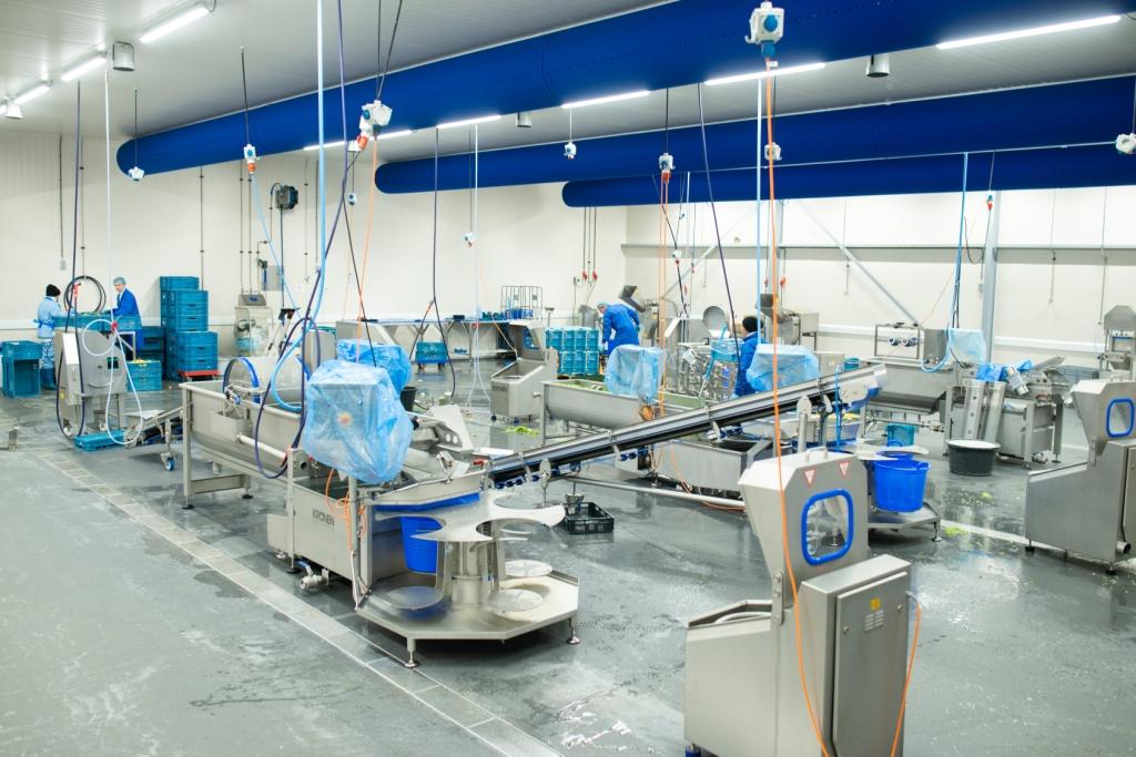 De productieruimte van Knook AGF